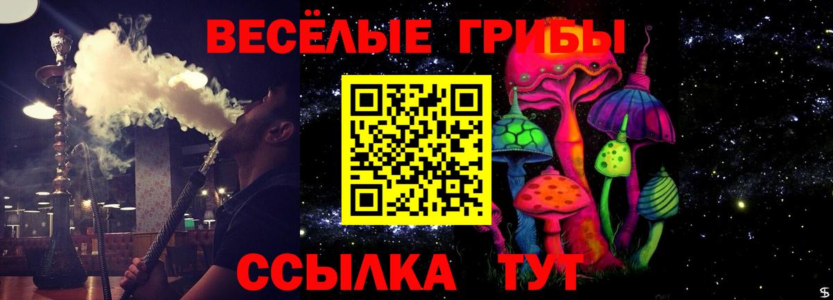 Кирово-Чепецк  Галлюциногенные грибы MAGIC MUSHROOMS  Вход с VPN  Галлюциногенные грибы Psilocybine cubensis 