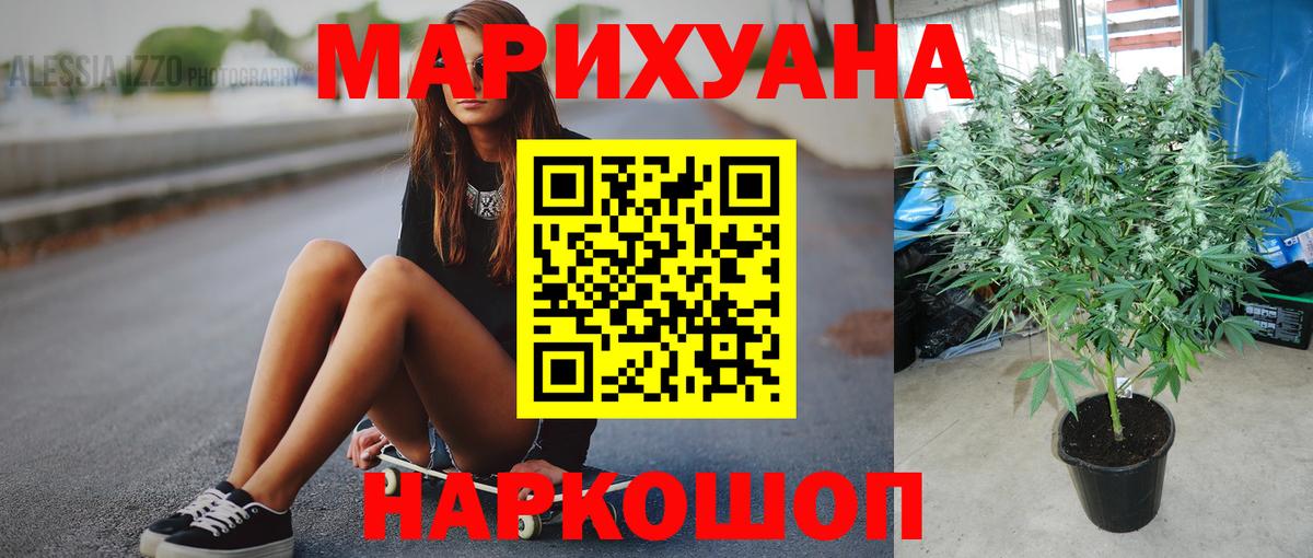 Бошки марихуана Amnesia  МАРИХУАНА план  Вход с VPN  Каннабис план  Бошки Шишки планчик  Кирово-Чепецк 